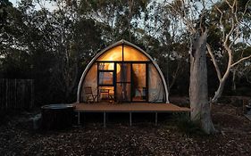 Numie Wattle Cocoon With Hot Tub Waterfront